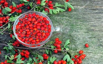 
درمان فوری عفونت ریه با این میوه 