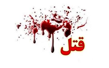 آدم‌کشی قاتلان اجاره‌ای فقط برای یک میلیون تومان | اهانت قاتلان به جسد مقتول | من فقط گفتم او را گوشمالی بدهید