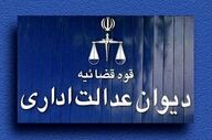 توضیحات قاضی دیوان عدالت درباره ستاد فضای مجازی