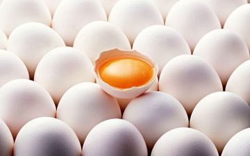 تغییرات قیمت تخم مرغ 