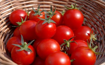 پوست این میوه یک مبارز قوی در برابر دیابت است