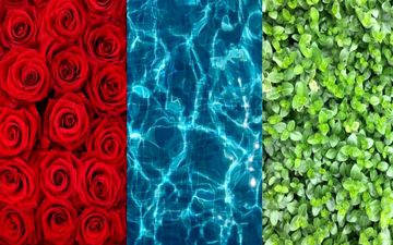 طالع بینی رنگی: یک رنگ انتخاب کن و طالعت برای این هفته رو بدون