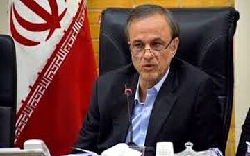 رزم‌حسینی:به اندازه کافی نهاده‌ در اختیار شبکه توزیع قرار گرفته است
