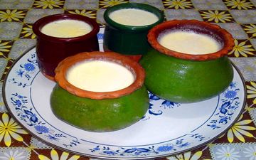 دیگه ماست از بیرون نخر| طرز تهیه ماست خانگی فوق العاده خوشمزه!