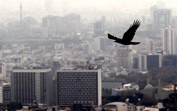 پیشنهاد اجبار موجران به تمدید ۶ ماهه قراردادهای اجاره مسکن
