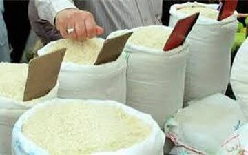 خبر رسمی درباره برنج اعلام شد