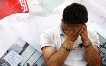 نظافتچی شیاد با حضور در 3 خانه میلیاردر شد
