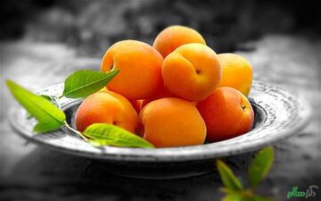 خواص زردآلو برای کبد