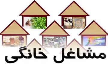  آغاز صدور الکترونیکی مجوز مشاغل خانگی در ۴ استان