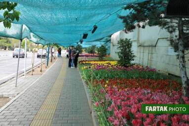 گزارش تصویری از پیاده راه لاله برای مادران 