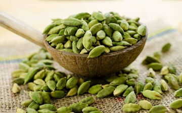 افراد لاغر هل بخورند!!