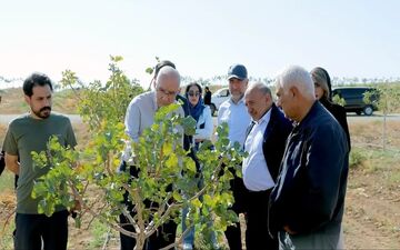 سرمایه‌گذاران داغستانی از فرصت‌های اقتصادی منطقه آزاد ماکو بازدید کردند