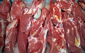 قیمت روز گوشت قرمز اعلام شد | نرخ گوشت گوسفندی و گوساله در ۳ مهر ۱۴۰۴