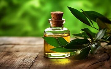 خواص روغن درخت چای برای پوست که کسی به شما نمی‌گوید!

