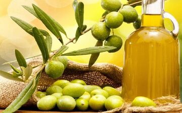 دلایلی برای استفاده هرچه بیشتر از زیتون