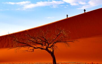عکس منتخب نشنال جئوگرافیک | تپه 45