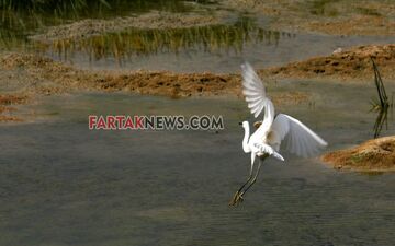 طبیعت بکر و زیبای گهواره و دالاهو به روایت تصویر