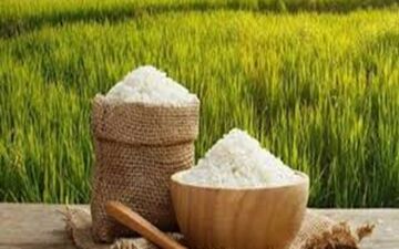 دلایل افزایش 38 درصدی قیمت برنج ایرانی 