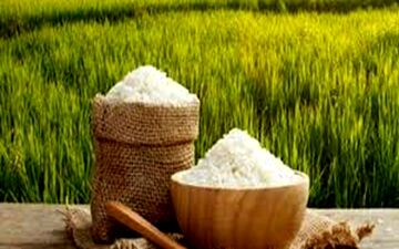 دلایل افزایش 38 درصدی قیمت برنج ایرانی 