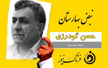 فیلم/ کارت زرد نبض بهارستان به نمایند درود و ازنا 