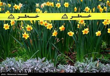 روز طبیعت در پارک ملت تهران + تصاویر