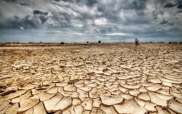 افزایش قیمت مواد غذایی جهان به واسطه کمبود آب