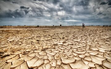 افزایش قیمت مواد غذایی جهان به واسطه کمبود آب