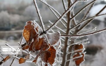 اولین برف پاییزی کرمان؛ ساعت کاری ادارات تغییر کرد