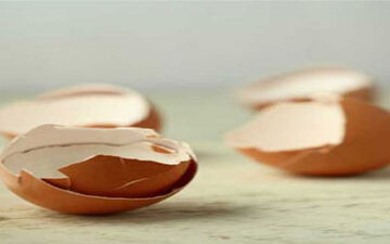 پوست تخم مرغ را دور نریزید!