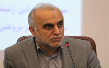 عدم اجرای کامل قانون هدفمندی یارانه‌ها /دژپسند راهی مجلس شد!