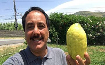 گزارش موبایلی معصومی‌نژاد درباره میوه بالنگ