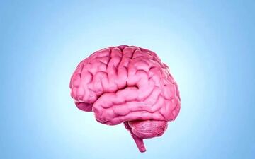 آیا چندزبانه‌بودن واقعاً از زوال عقل جلوگیری می‌کند؟