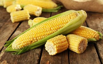 ذرت محبوب منبع ویتامین و انرژی است

