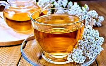 عرق این گیاه خواص اعجاب انگیزی دارد