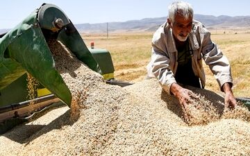 شنبه، موعد انتشار خبر خوش برای کشاورزان