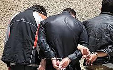 این 3 پسرعمو وارد خانه های کرجی ها می شدند و دست به کار کثیفی می زدند