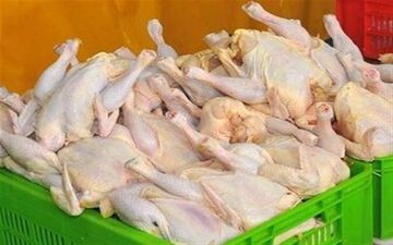  ارز ۴۲۰۰تومانی برداشته شود قیمت مرغ ۳۰هزار تومان می‌شود / تبعات‌گرانی بنزین کنترل نشد 