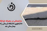 مارگزیدگی در محوطه خوابگاه؛ دانشجوی دانشگاه لرستان راهی بیمارستان شد