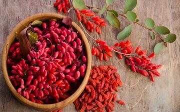 زرشک و خواص شگفت انگیز آن برای سلامت بدن