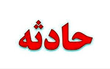 حمله حیوان وحشی به روستائیان کهگیلویه و بویر احمد

