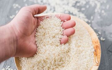 برنج ایرانی در مازندران کیلویی ۸۰ هزار تومان شد 