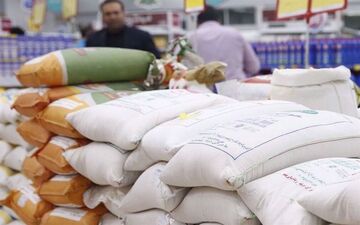 افزایش واردات برنج پس از آزادسازی نرخ ارز