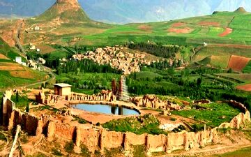 جاهای ترسناک ایران؛ این جنگل جیغ می زند
