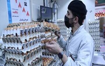 قیمت مرغ و تخم‌مرغ اصلاح می‌شود