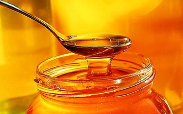 عسل دیابتی چیست؟