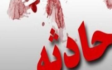 بازیگوشی پسر ۲ ساله در آسانسور حادثه آفرید