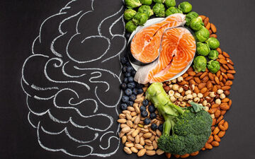 تاثیر تغذیه بر روی مغز