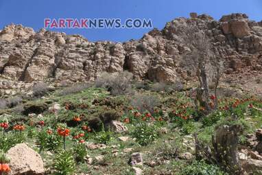 محسن عباسی‌فرد- ایرج الیاسی دالاهو