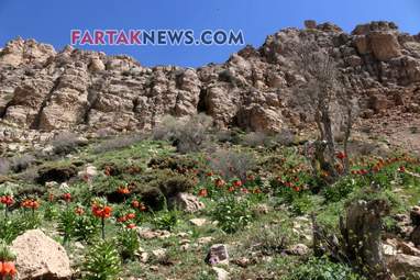 محسن عباسی‌فرد- ایرج الیاسی دالاهو