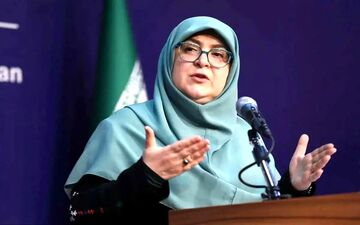 سخنگوی دولت در مورد مصادره اموال سلبریتی‌ها: اینگونه نیست! + فیلم